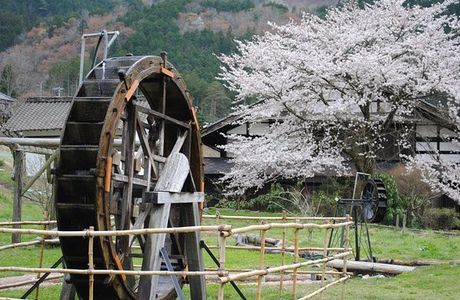 Fishing Center Mizube no Yakata