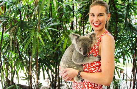 Wildlife Habitat Port Douglas