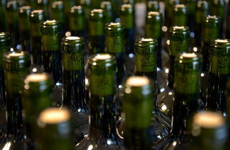 Bodega La Vendimia S.A.