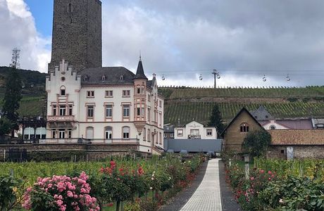 Rheingau Wine Museum Broemserburg Castle