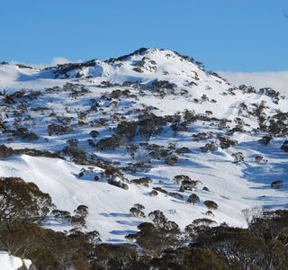 Snowy Mountains