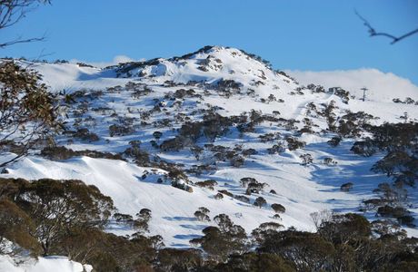 Snowy Mountains