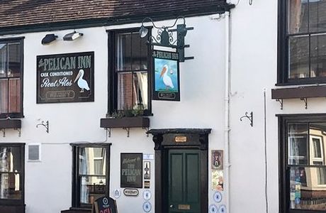 The Pelican