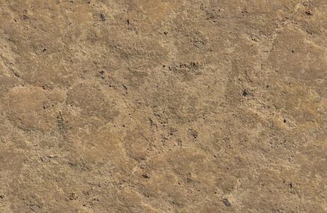 Sandy Ground