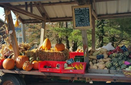 Tanakaen Nashi Farm Stand