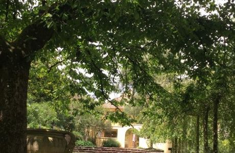 Everglades Historic House and Gardens