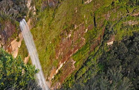 Cliff Top Walking Track