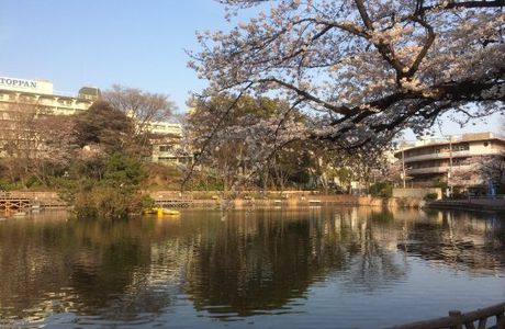 Maeno Park