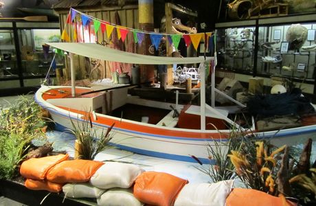 Lafitte's Barataria Museum and wetland trace