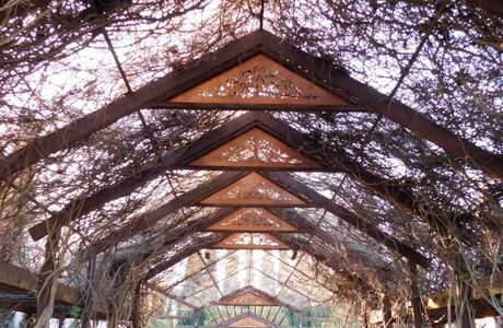 ABQ BioPark Botanic Garden