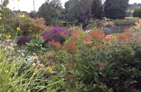Meadow Farm Garden and Nursery
