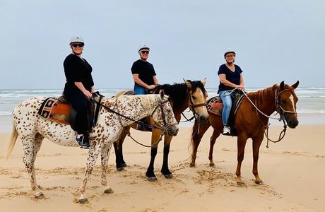 Sahara Trails Horse Riding and Farm Stays