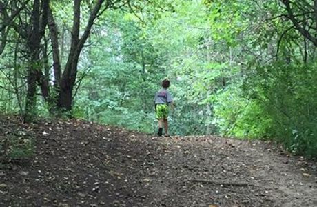 Jackson Bog State Nature Preserve