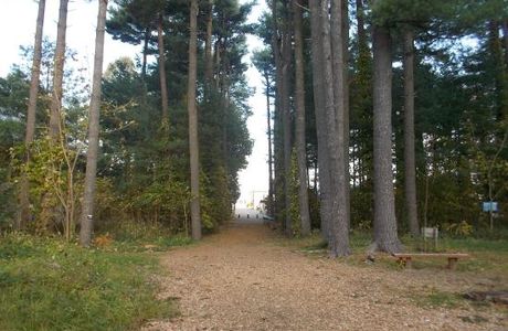 Asahikawa Forest of Foreign Tree Species