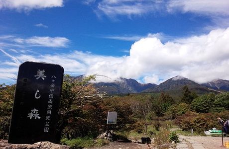 Forest Utsukushinomori