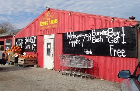 Remus Farms, Inc.