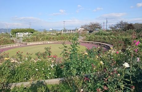 Onocho Rose Park