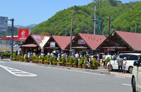 Michi-no-Eki Raimu to Gochi