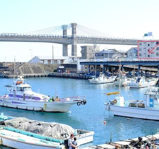 Morning Market of Odawara Harbor