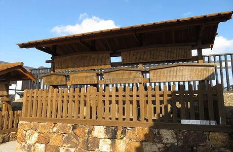 Arai Sekisho