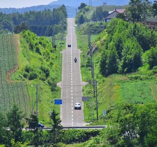 Roller Coaster Road