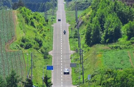 Roller Coaster Road