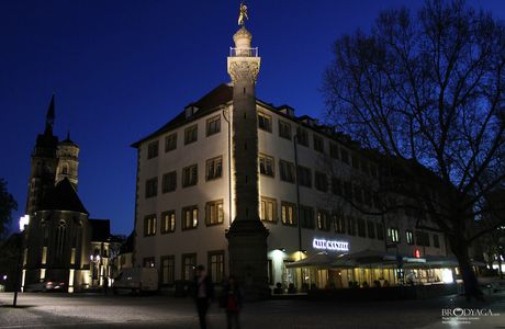 Wurttemberg Alpakas