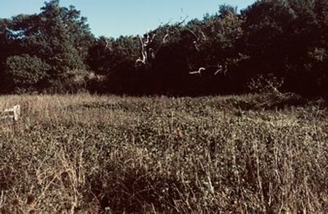 Stanmore County Park