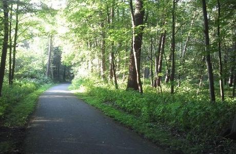 Eilenriede - Park
