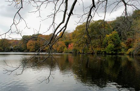 Avalon Park & Preserve
