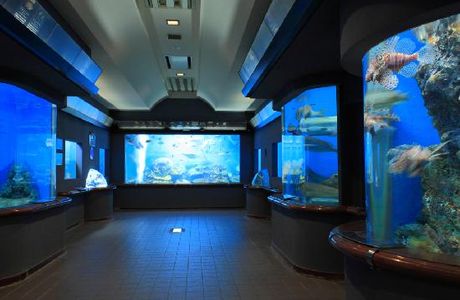 Shibukawa Marine Aquariums (Tamano City Marine Museum)