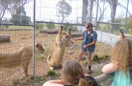 Darling Downs Zoo