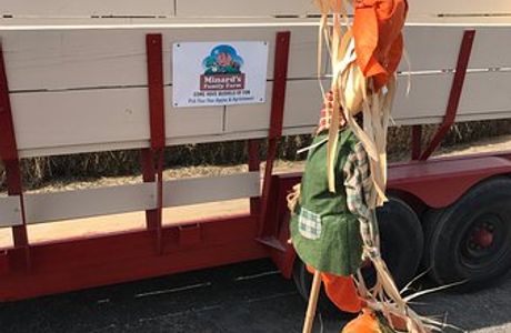 Minard Farms