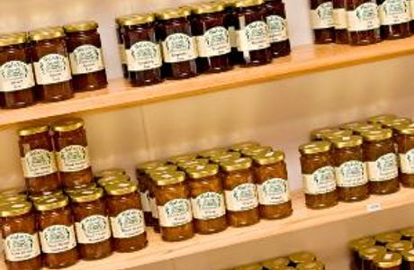 Bluestill Distillery