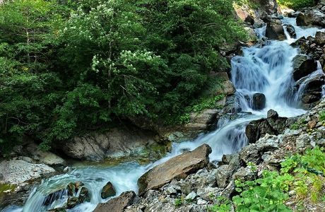 Altindere Vadisi National Park