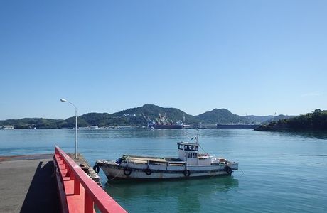 Momo Island