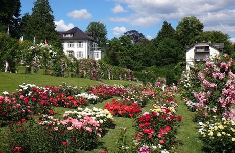 Rosengarten auf dem Beutig
