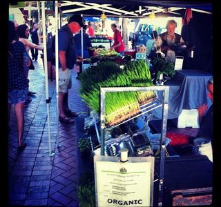 Lismore Produce Market