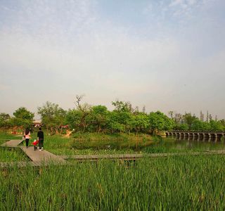 Caofeidian Wetland Scenic Spot