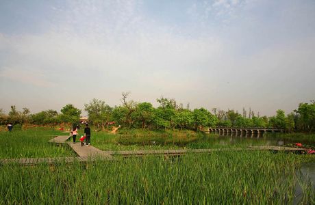 Caofeidian Wetland Scenic Spot