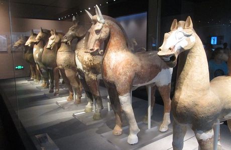 Mianyang Museum