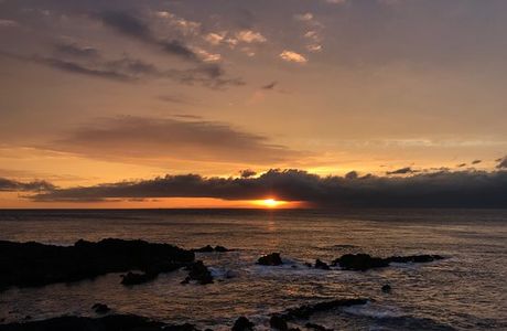 Sunset Palm Line Course