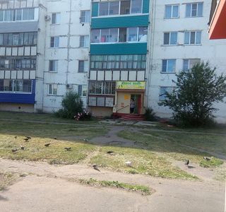 Zhivoye Pivo