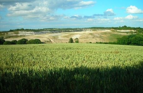 Wicken Fen National Nature Reserve