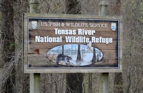 Tensas River National Wildlife Refuge