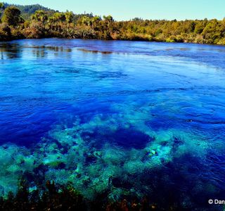 Te Waikoropupu Springs (Pupu Springs)
