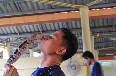 Phuket Cobra Show and Snake Farm