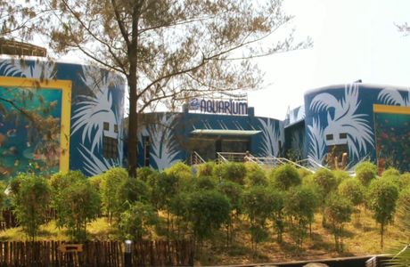 Jagdishchandra Bose Aquarium