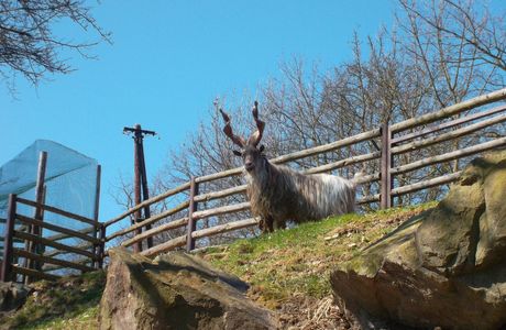 Zoo Plzen