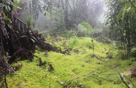 Sendero Ecoturistico